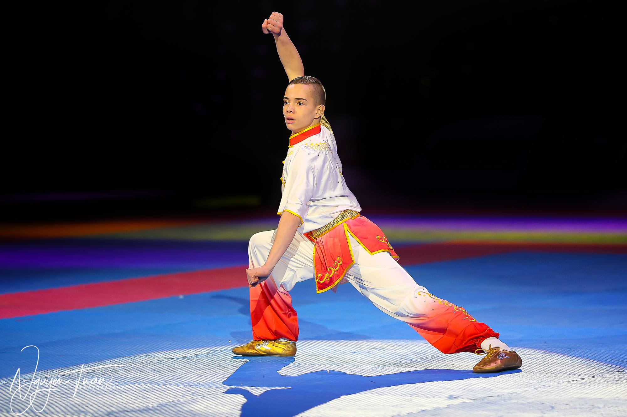 20190324 Festival des Arts Martiaux 1283